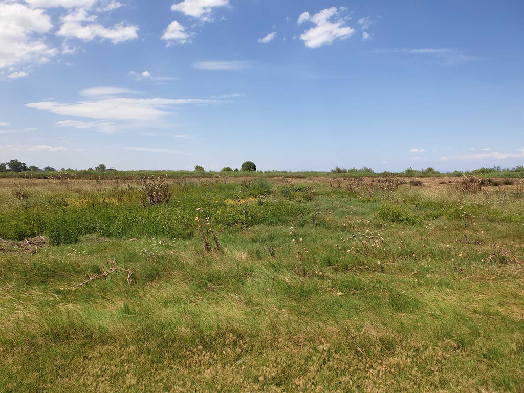 Grundstück in Olympiaki Akti, Griechenland, 12 955 m² - Foto 4