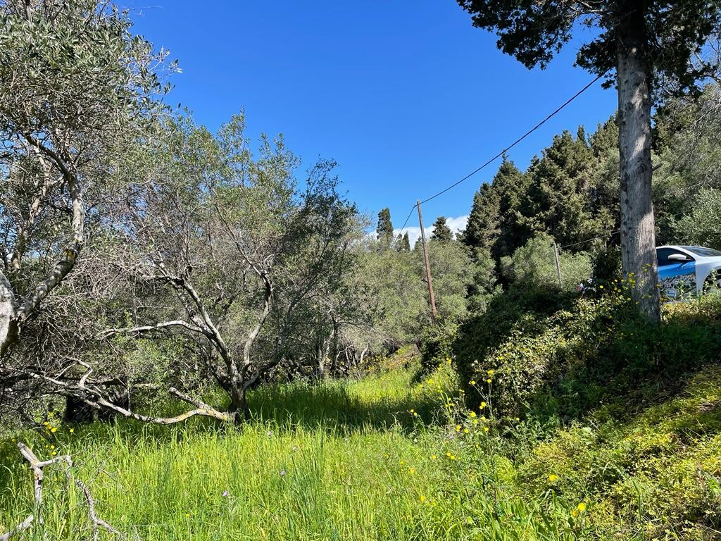 Terreno a Corfù, Grecia, 9 150 m2 - foto 4