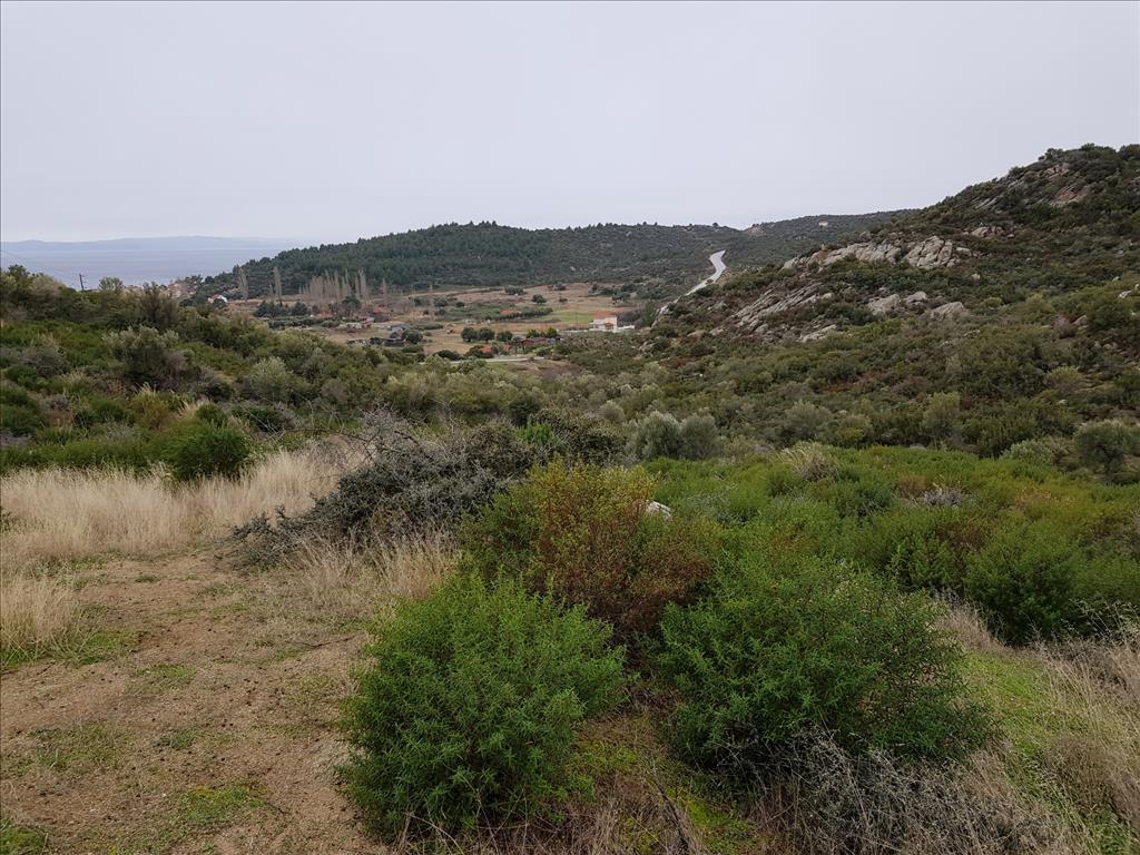 Grundstück in Sithonia, Griechenland, 12 500 m² - Foto 4