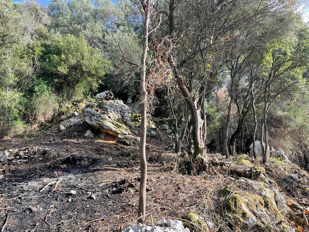 Terreno a Corfù, Grecia, 6 260 m2 - foto 4