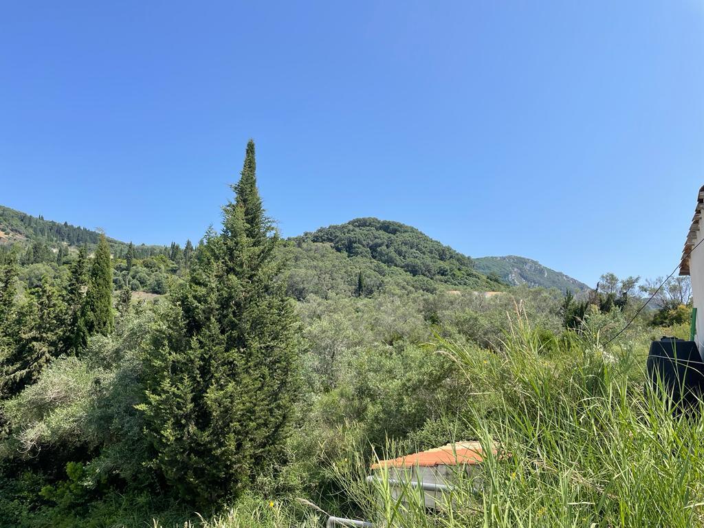 Land in Corfu, Greece, 10 025 m² - picture 4