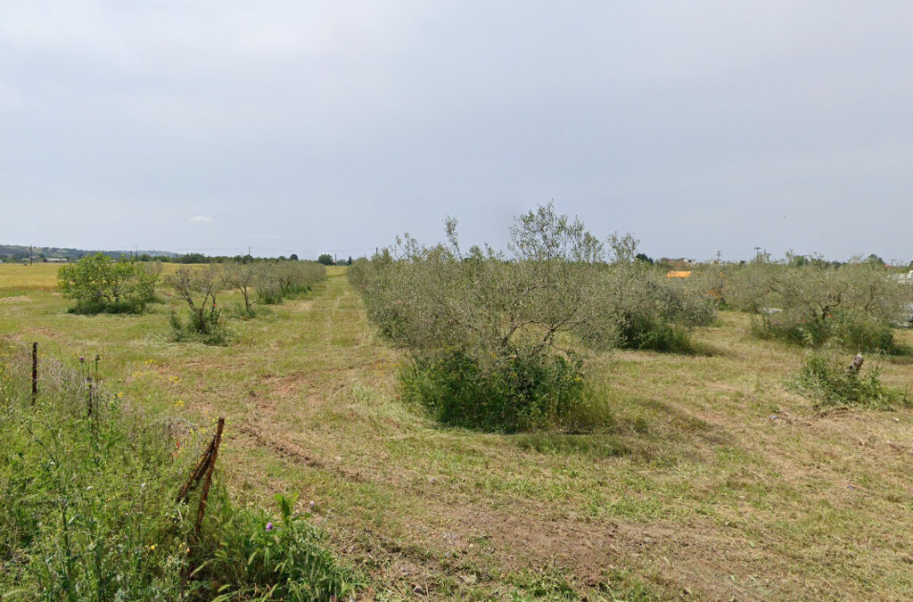 Land in Thessaloniki, Greece, 5 850 m² - picture 4