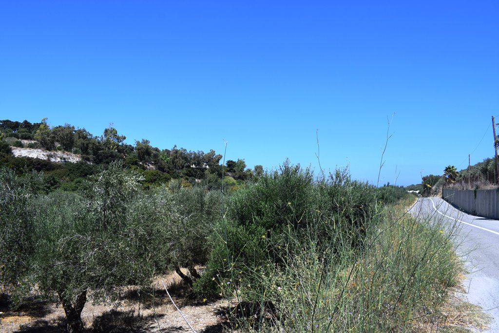 Terreno en Heraclión, Grecia, 5 500 m² - imagen 4