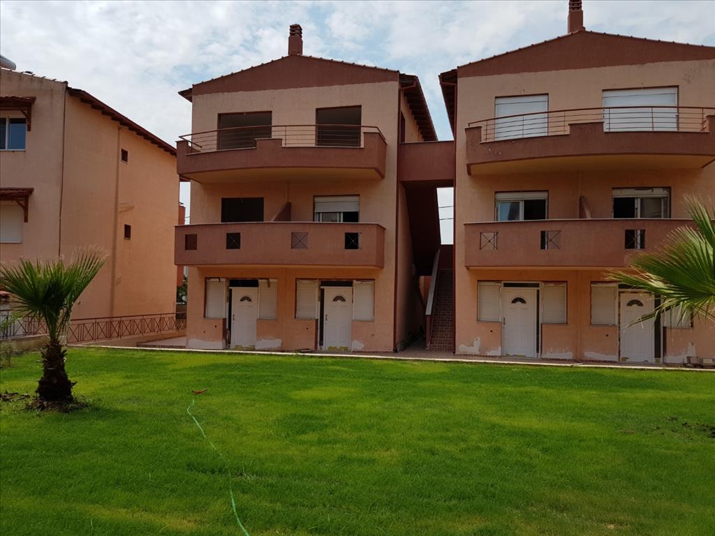 Maisonette in Sithonia, Griechenland, 68 m² - Foto 4