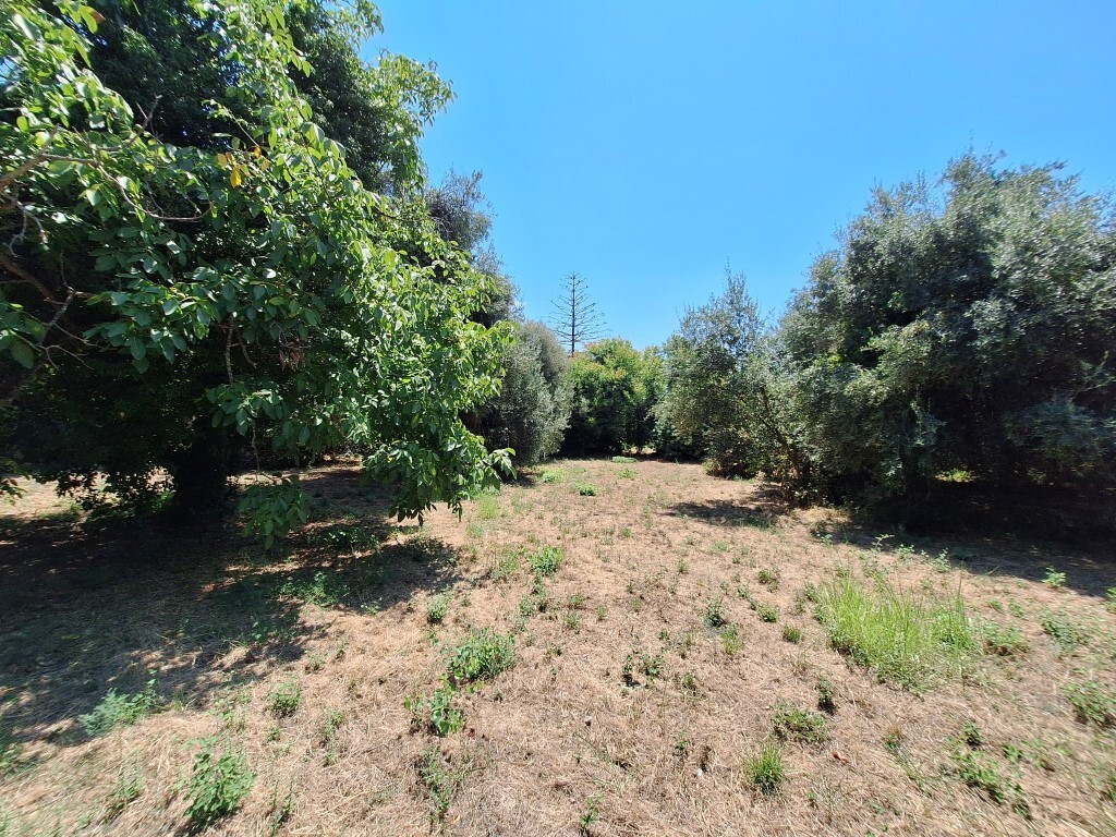 Grundstück in Korfu, Griechenland, 4 600 m² - Foto 4