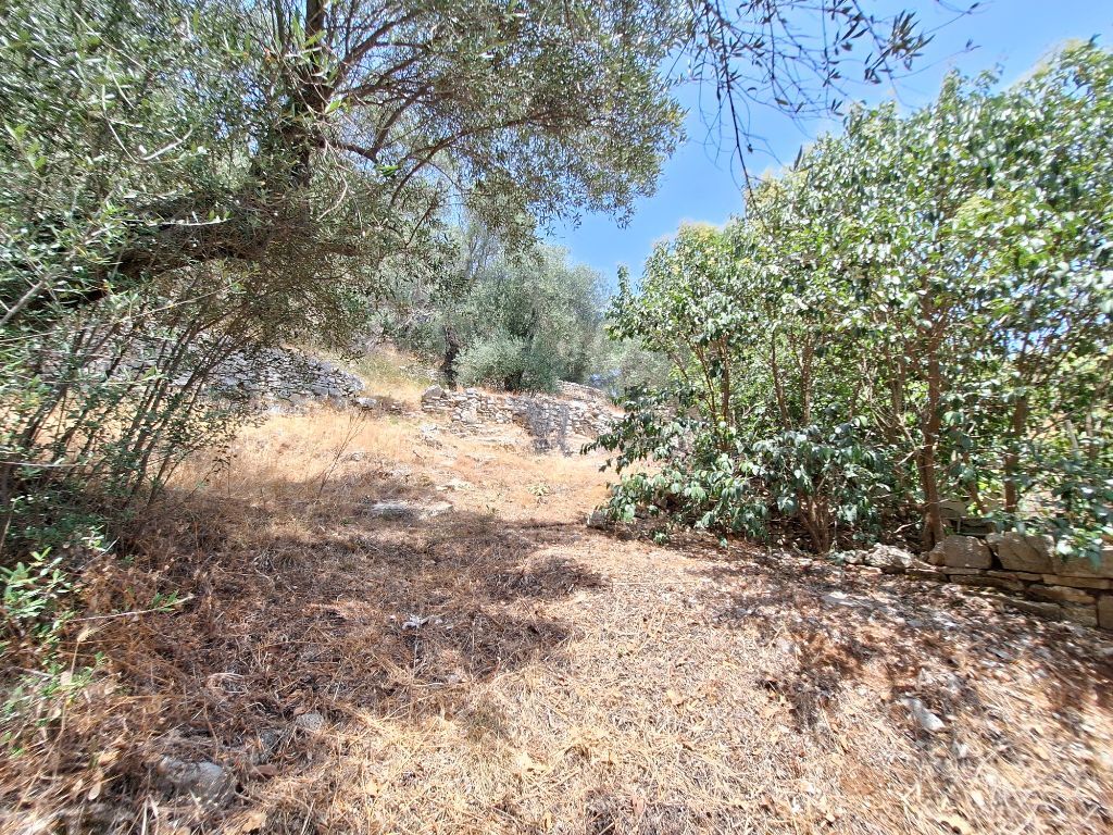 Terrain à Corfou, Grèce, 6 000 m² - image 4