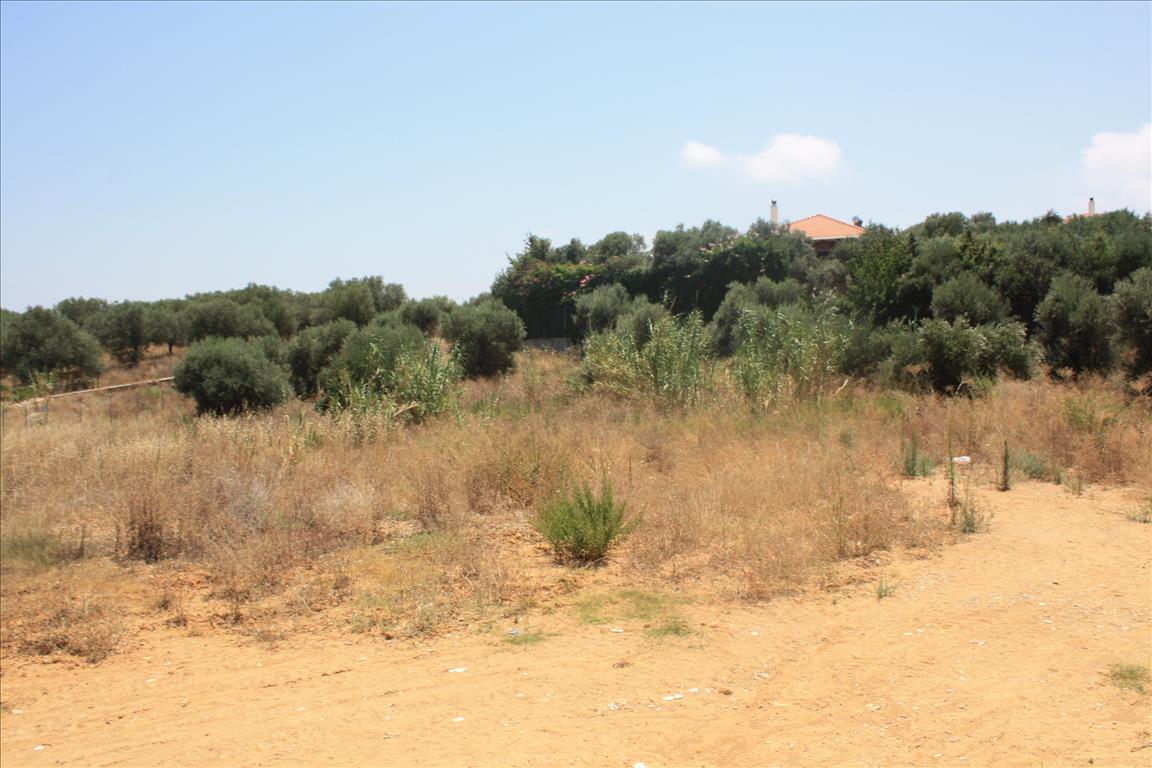 Land in Heraklion, Greece, 6 340 m² - picture 4