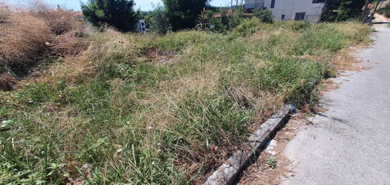 Terrain à Kassandra, Grèce, 1 000 m² - image 4