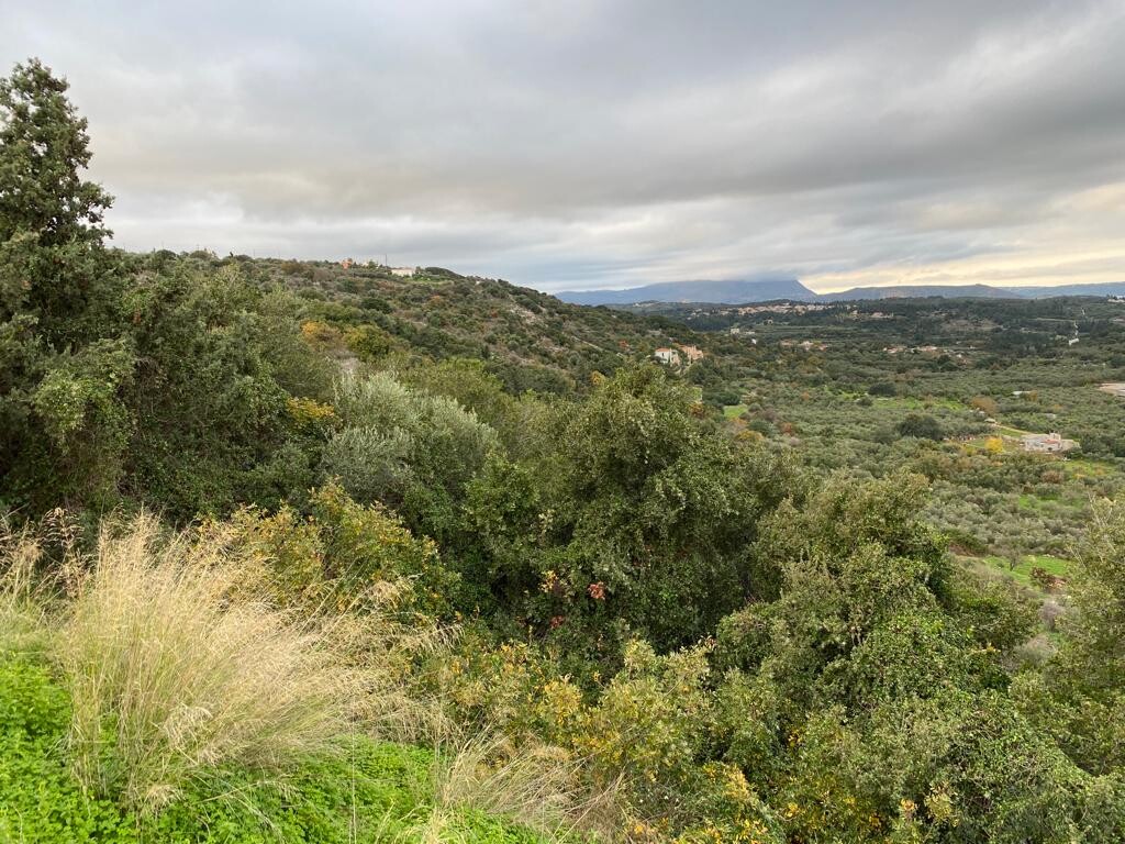 Grundstück in Heraklion, Griechenland, 8 000 m² - Foto 4