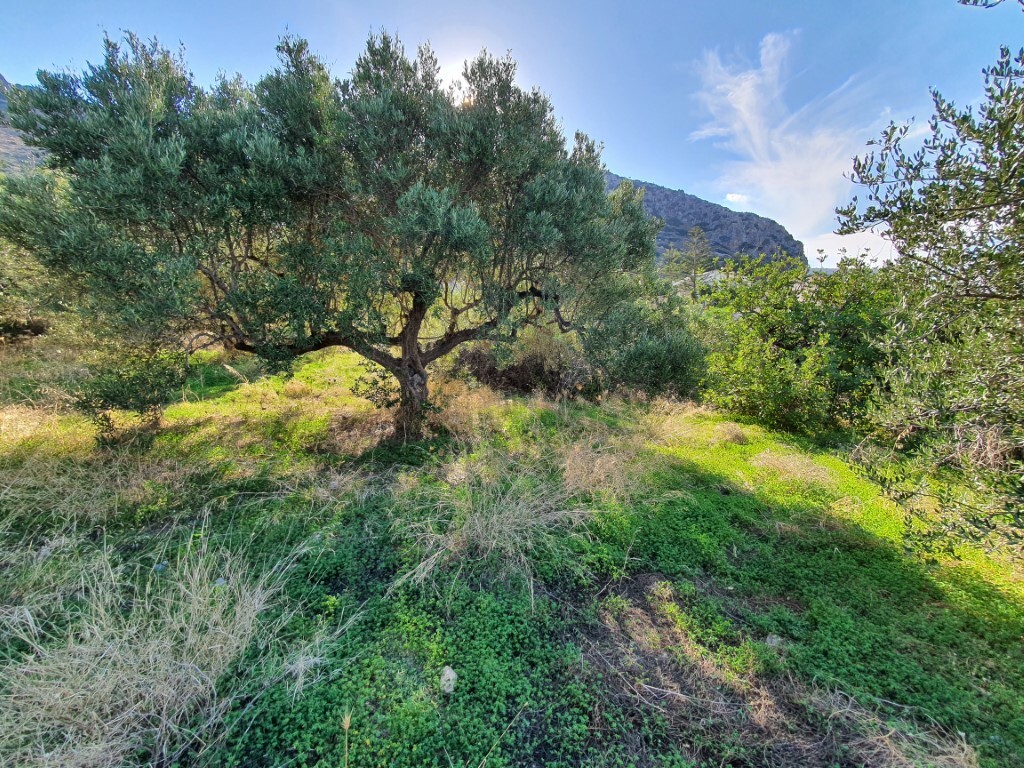 Land in Heraklion, Greece, 4 000 m² - picture 4