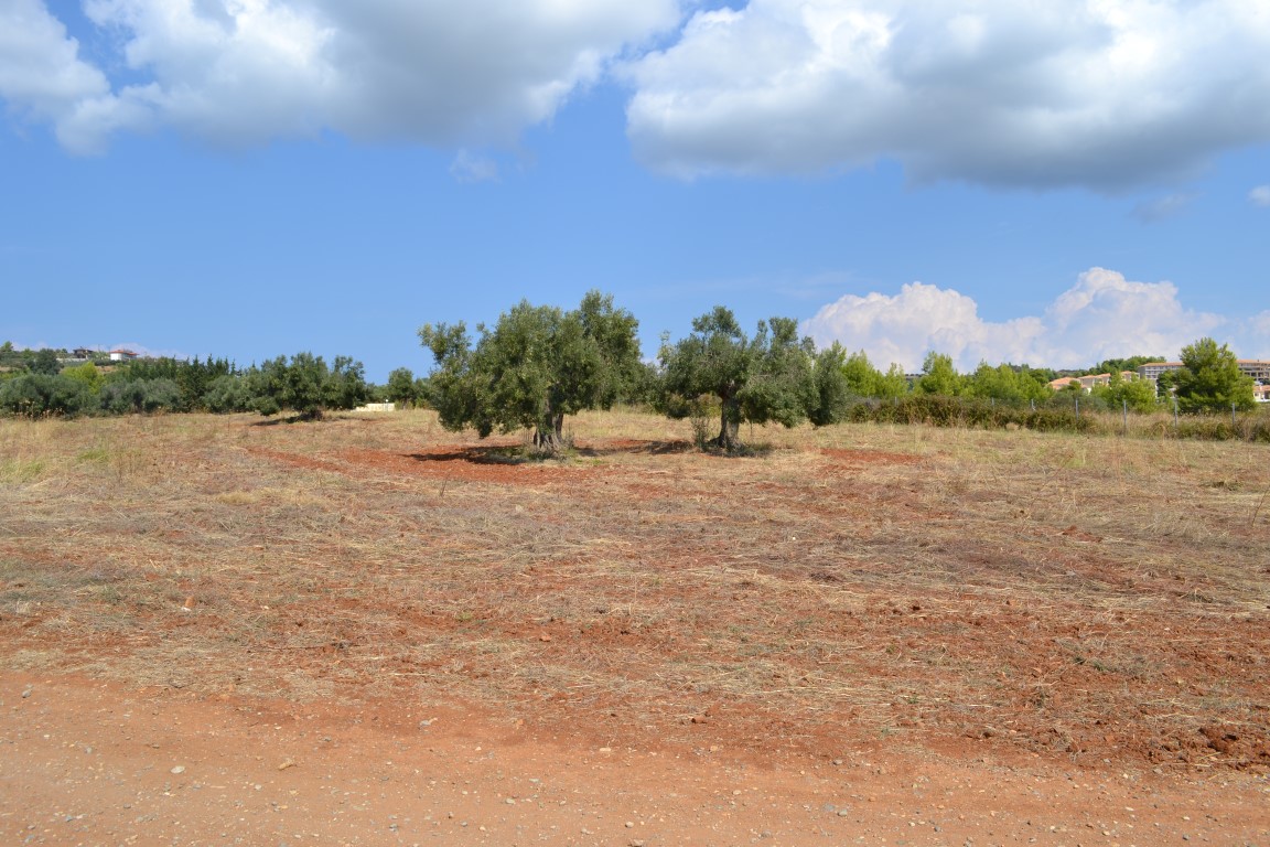 Land in Kassandra, Greece, 6 616 m² - picture 4