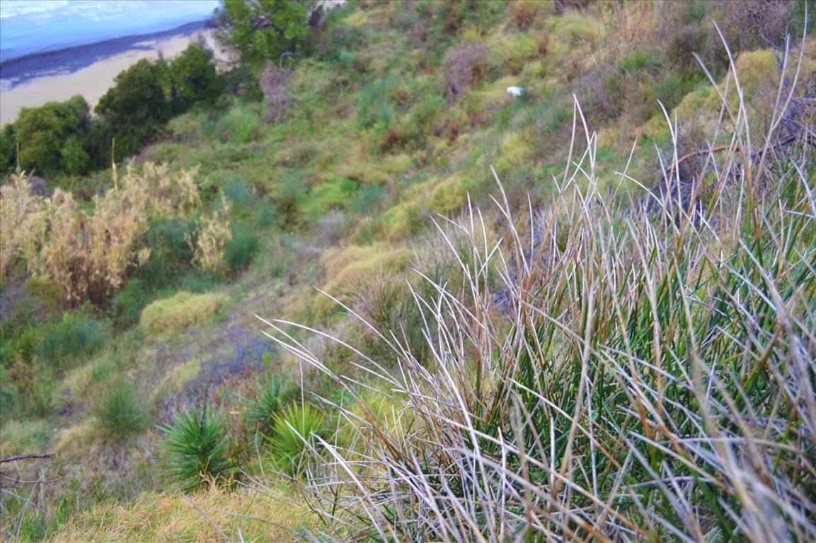 Grundstück in Korfu, Griechenland, 2 522 m² - Foto 4