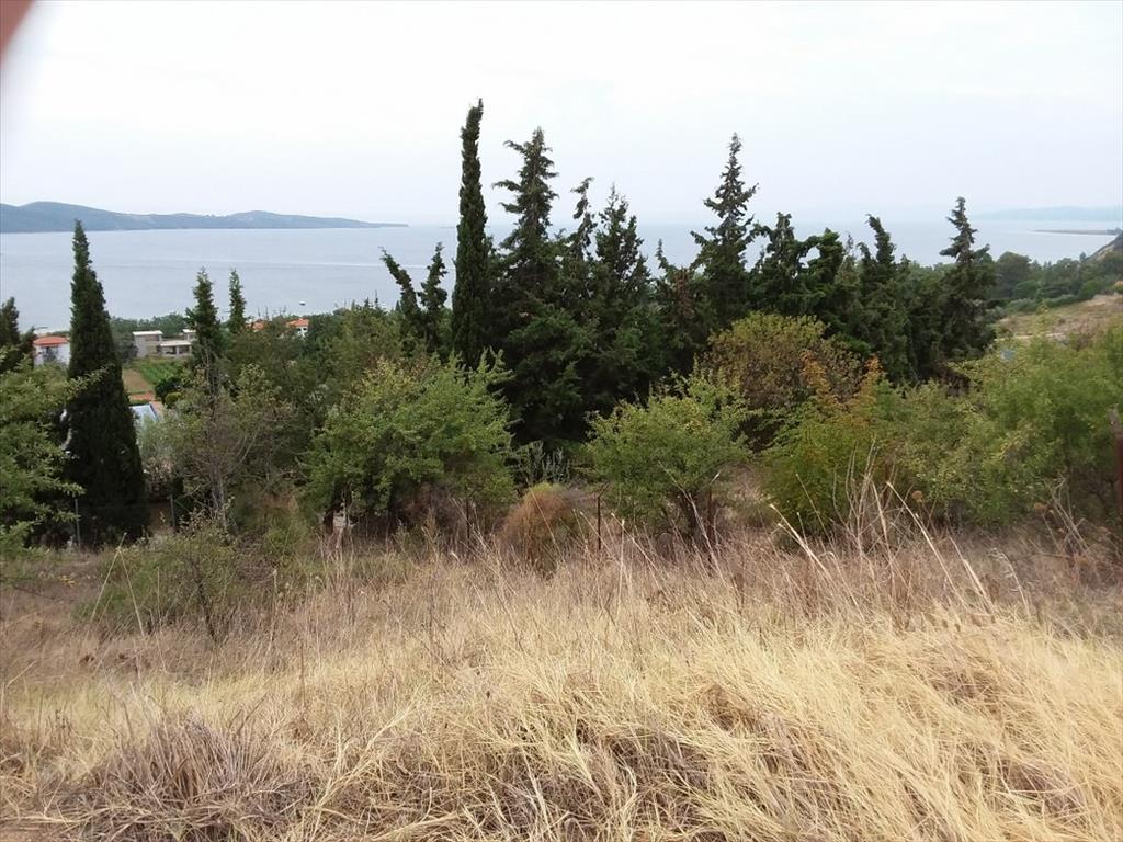 Grundstück in Chalkidiki, Griechenland, 13 000 m² - Foto 4