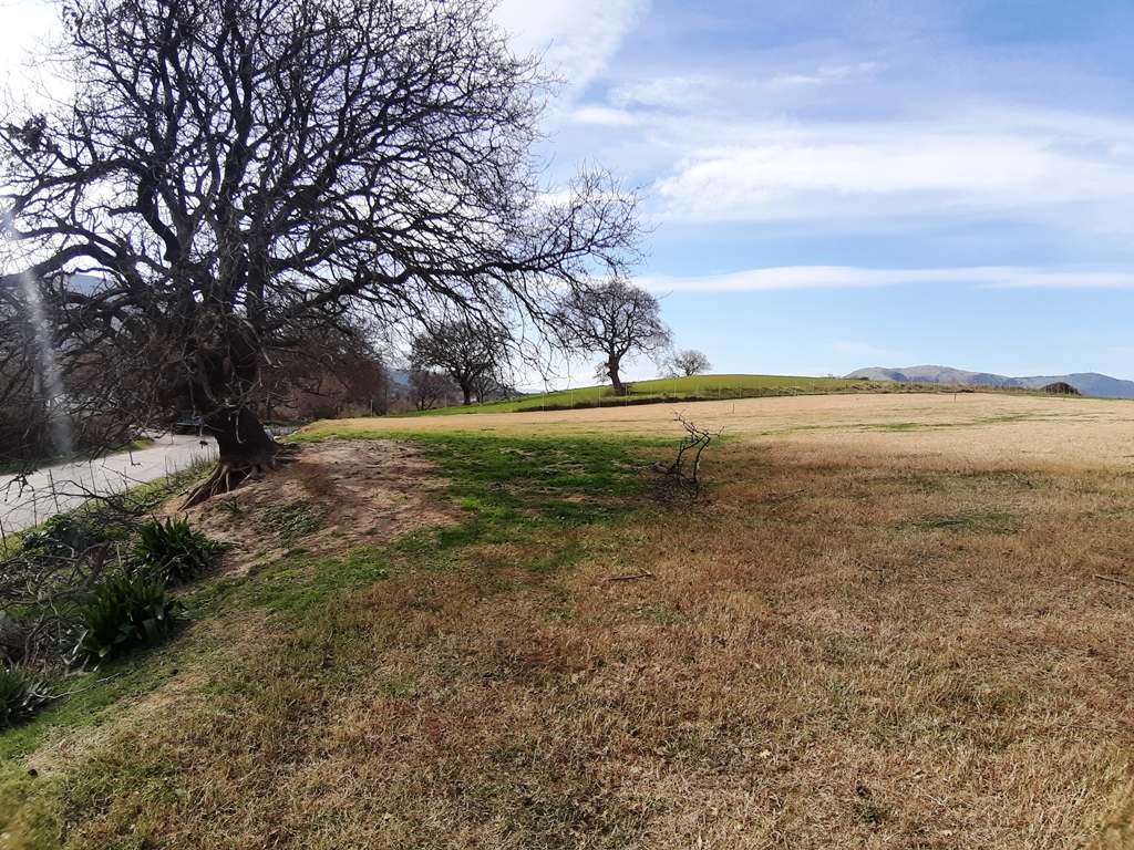 Land in Heraklion, Greece, 8 923 m² - picture 4