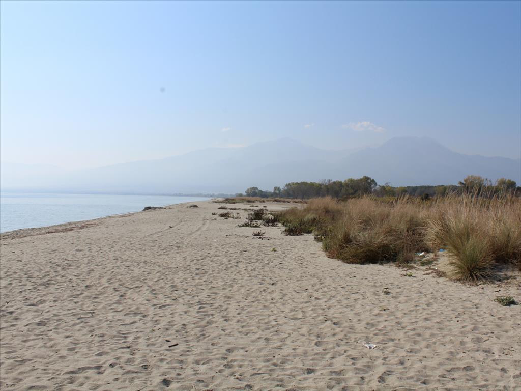 Land in Olympiaki Akti, Greece, 10 000 m² - picture 4