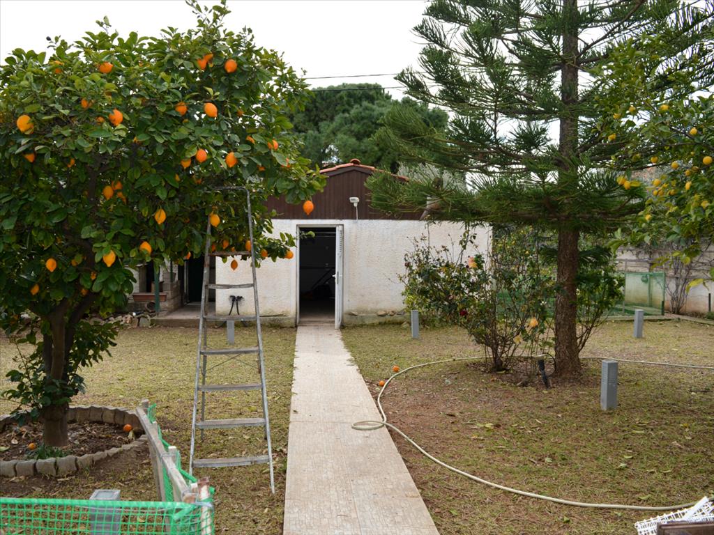 Maisonette in Attica, Grecia, 220 m² - foto 4