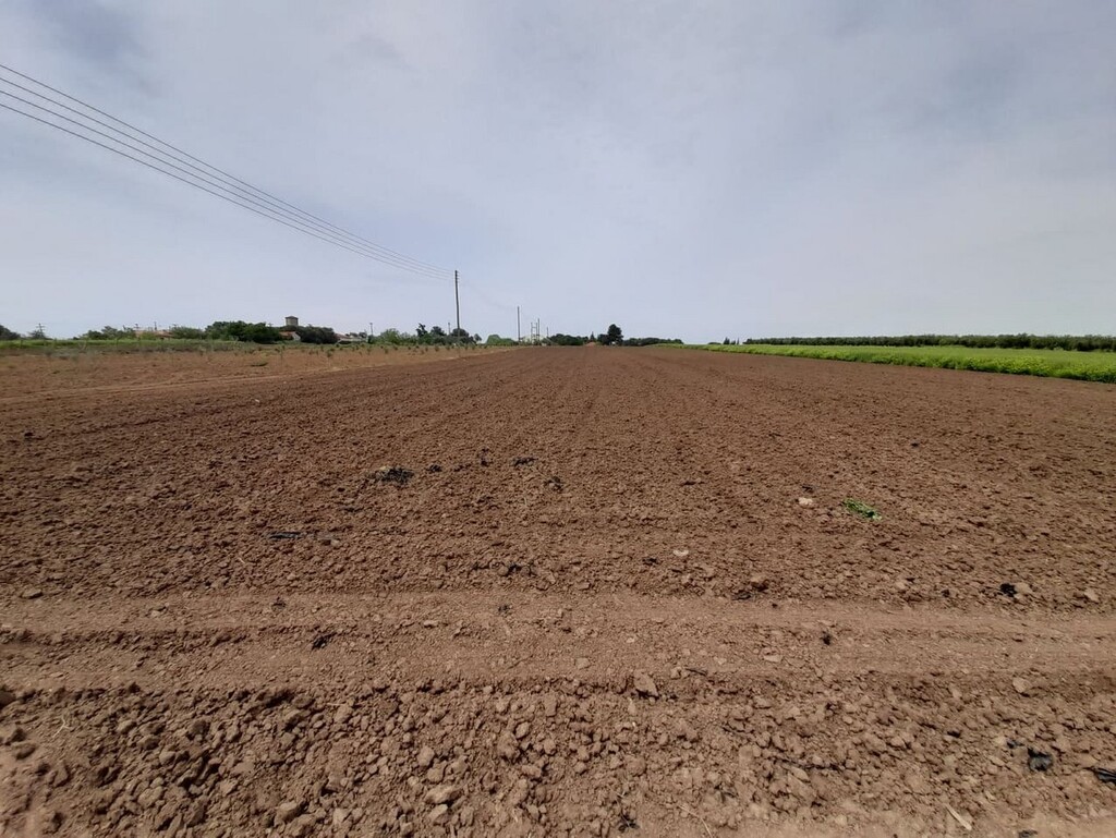 Terrain en Chalcidique, Grèce, 8 628 m² - image 4