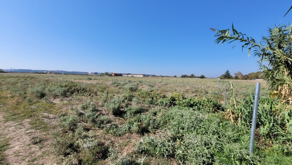 Terrain à Thessalonique, Grèce, 9 000 m² - image 4