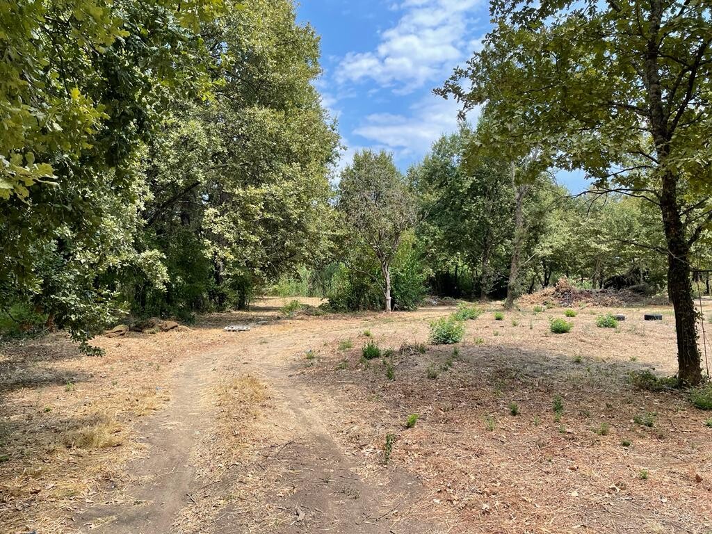 Land in Corfu, Greece, 4 850 m² - picture 4