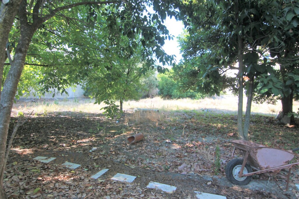 Land in Corfu, Greece, 1 342 m² - picture 4