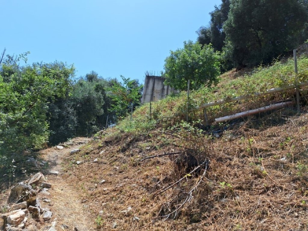 Terrain à Corfou, Grèce, 2 100 m² - image 4