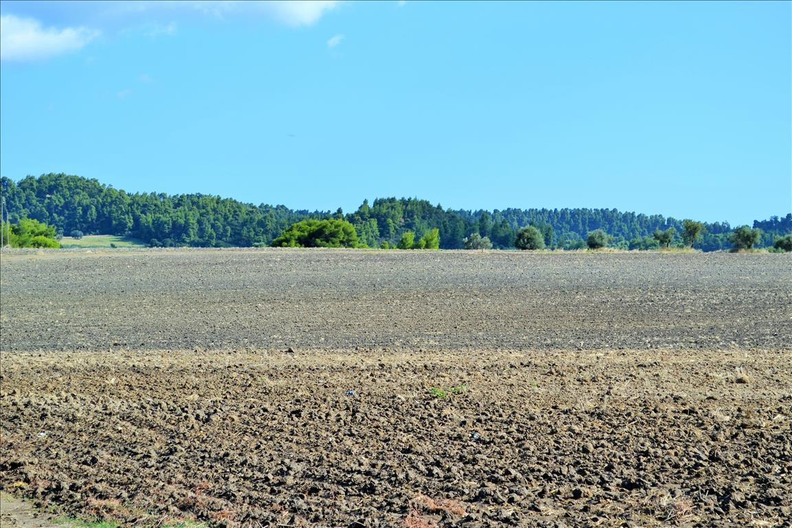 Grundstück in Kassandra, Griechenland, 13 000 m² - Foto 4