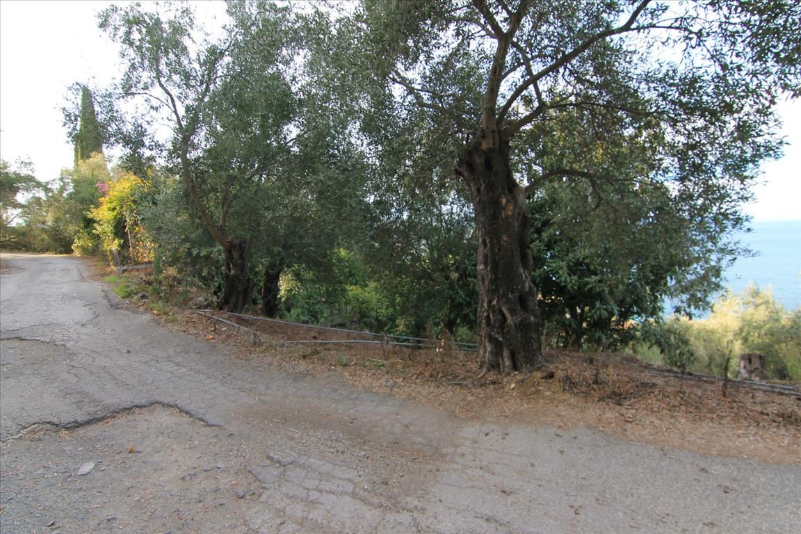 Land in Corfu, Greece, 2 306 m² - picture 4