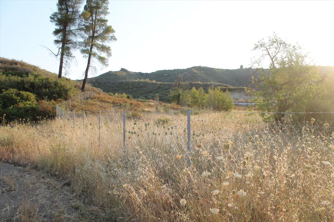Land in Kassandra, Greece, 12 000 m² - picture 4