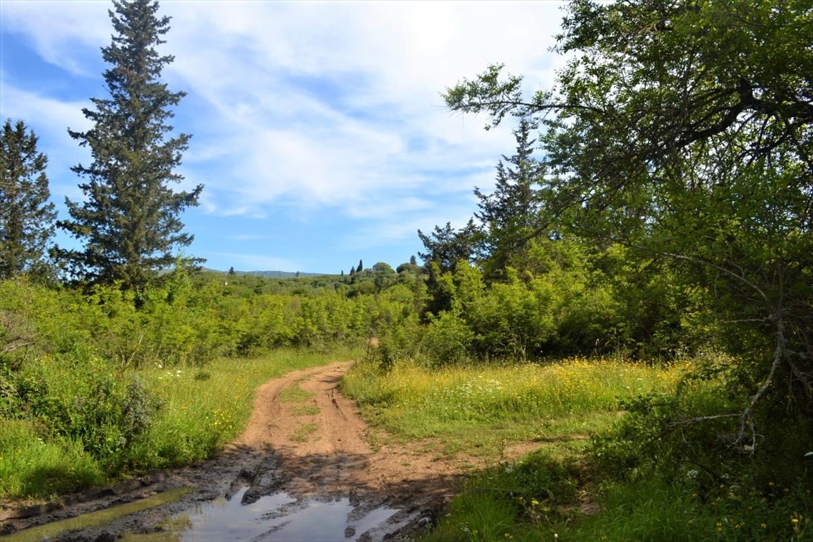 Terreno a Corfù, Grecia, 72 000 m2 - foto 5