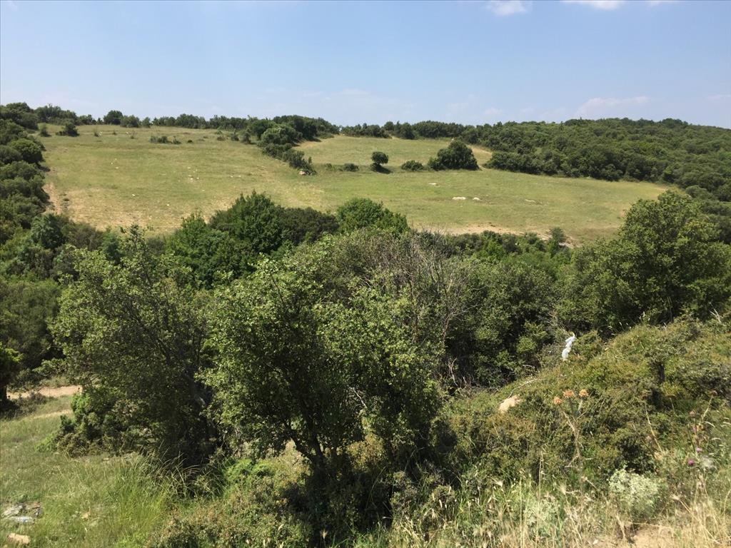 Terreno a Salonicco, Grecia, 12 100 m2 - foto 5