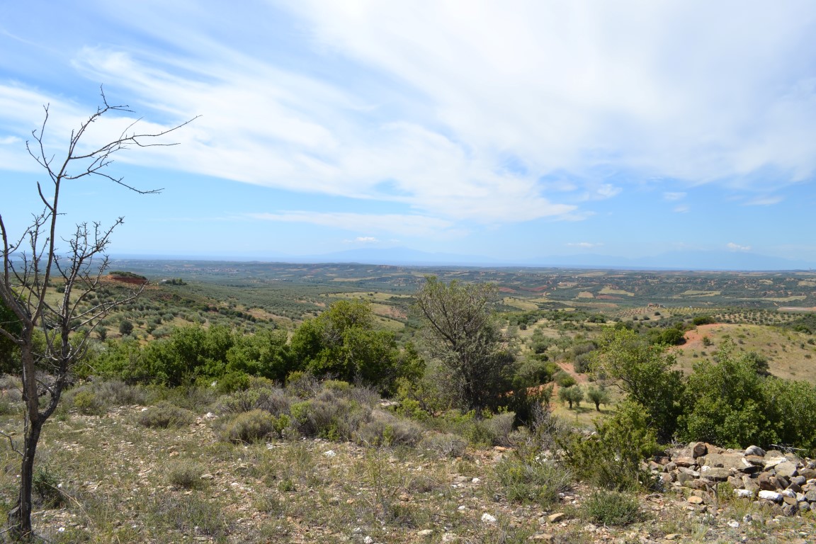 Terreno en Calcídica, Grecia, 20 000 m² - imagen 5