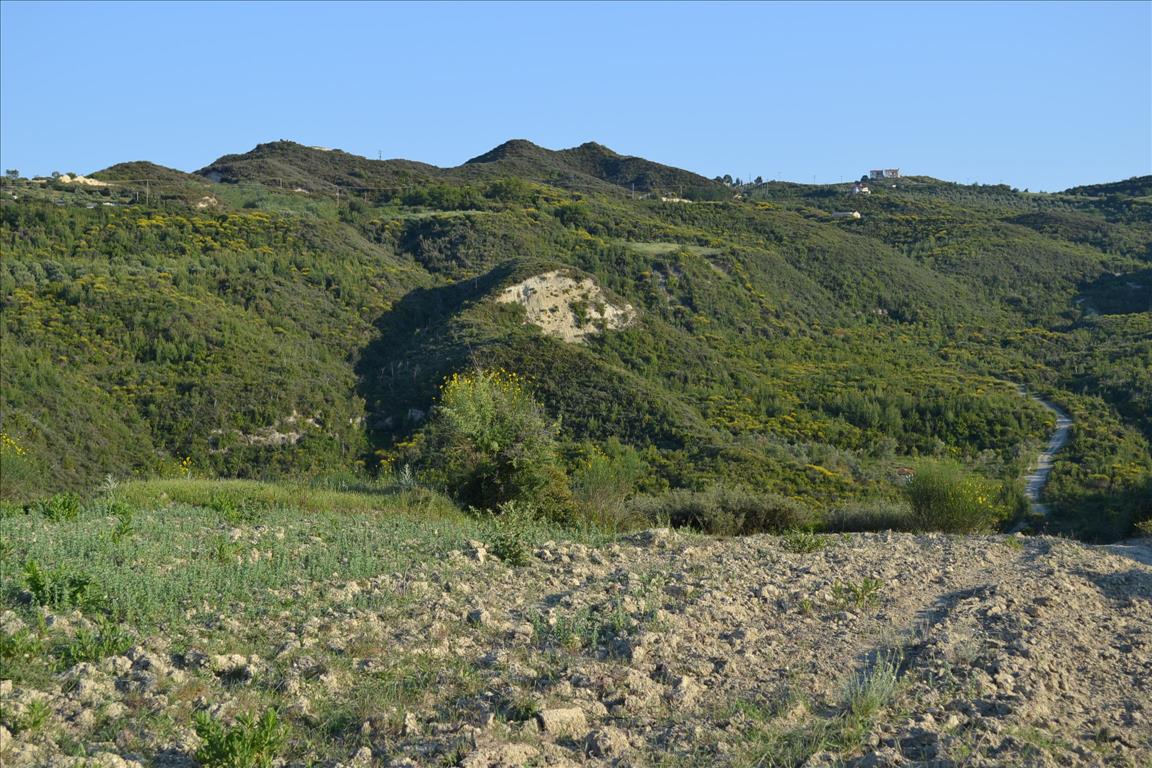 Grundstück in Kassandra, Griechenland, 15 400 m² - Foto 5