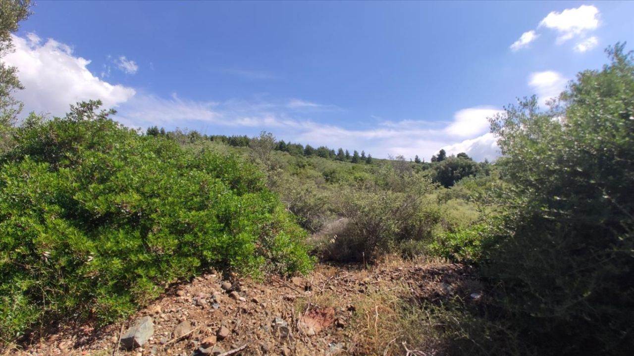 Land in Sithonia, Greece, 13 750 m² - picture 5