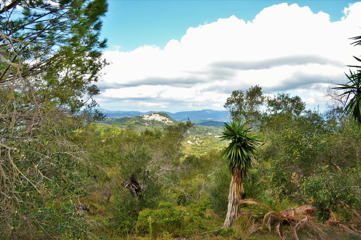 Land in Corfu, Greece, 4 673 m² - picture 5