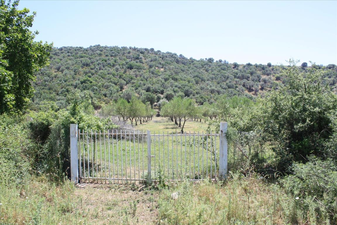 Land in Sithonia, Greece, 8 000 m² - picture 5