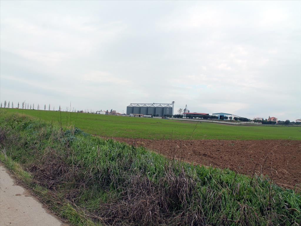 Grundstück in Thessaloniki, Griechenland, 100 856 m² - Foto 5