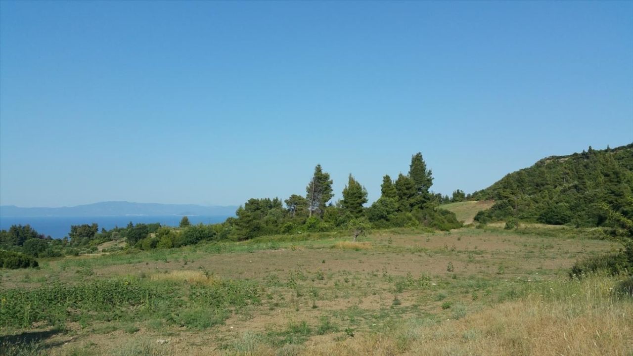 Land in Kassandra, Greece, 14 625 m² - picture 5