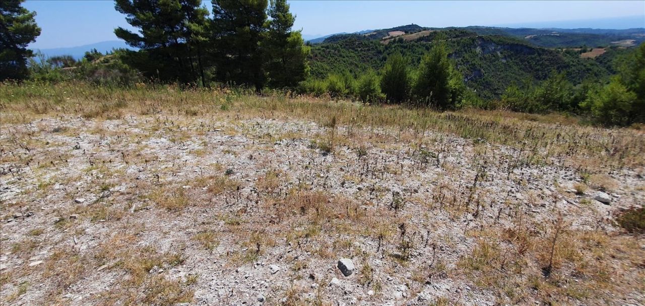 Grundstück in Kassandra, Griechenland, 15 000 m² - Foto 5