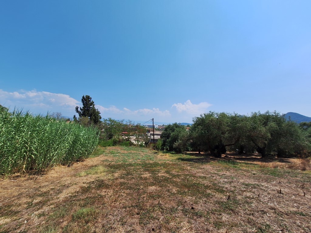 Grundstück in Korfu, Griechenland, 12 000 m² - Foto 5