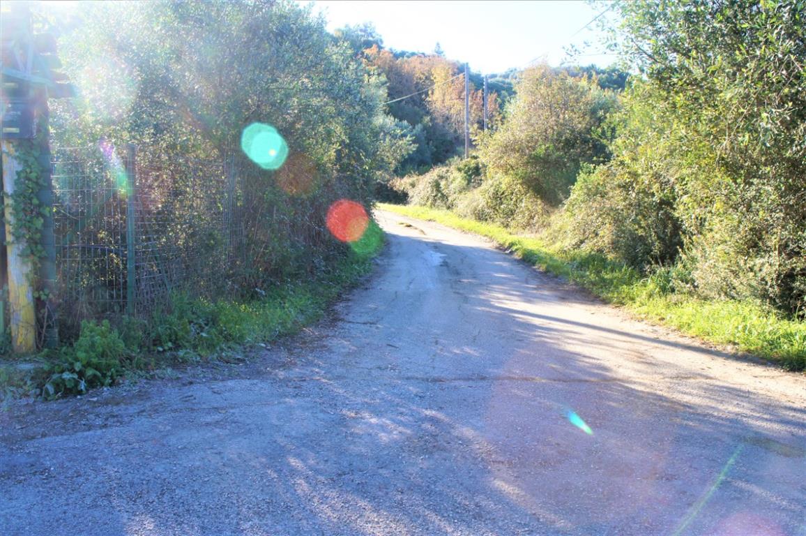 Land in Corfu, Greece, 4 000 m² - picture 5