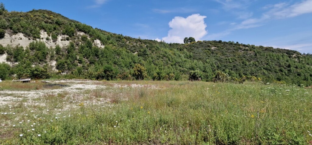 Terreno en Kassandra, Grecia, 10 000 m² - imagen 5