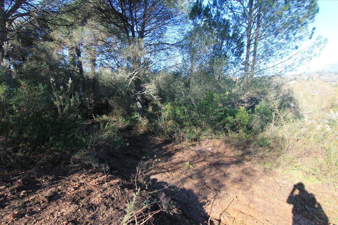 Land in Corfu, Greece, 11 017 m² - picture 5