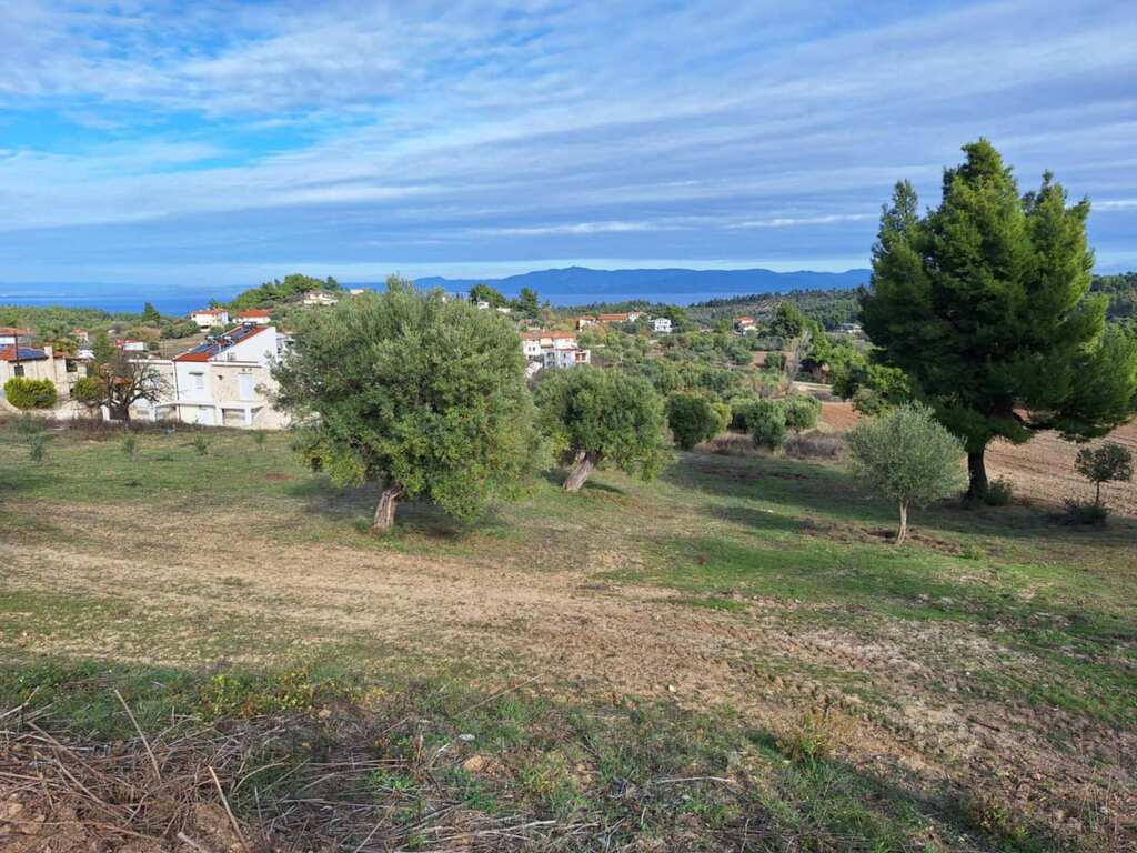 Terreno a Kassandra, Grecia, 2 822 m2 - foto 5