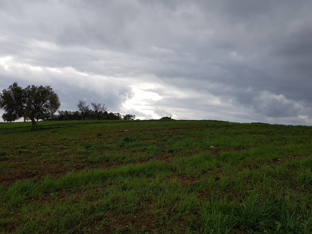 Terreno en Kassandra, Grecia, 5 000 m² - imagen 5