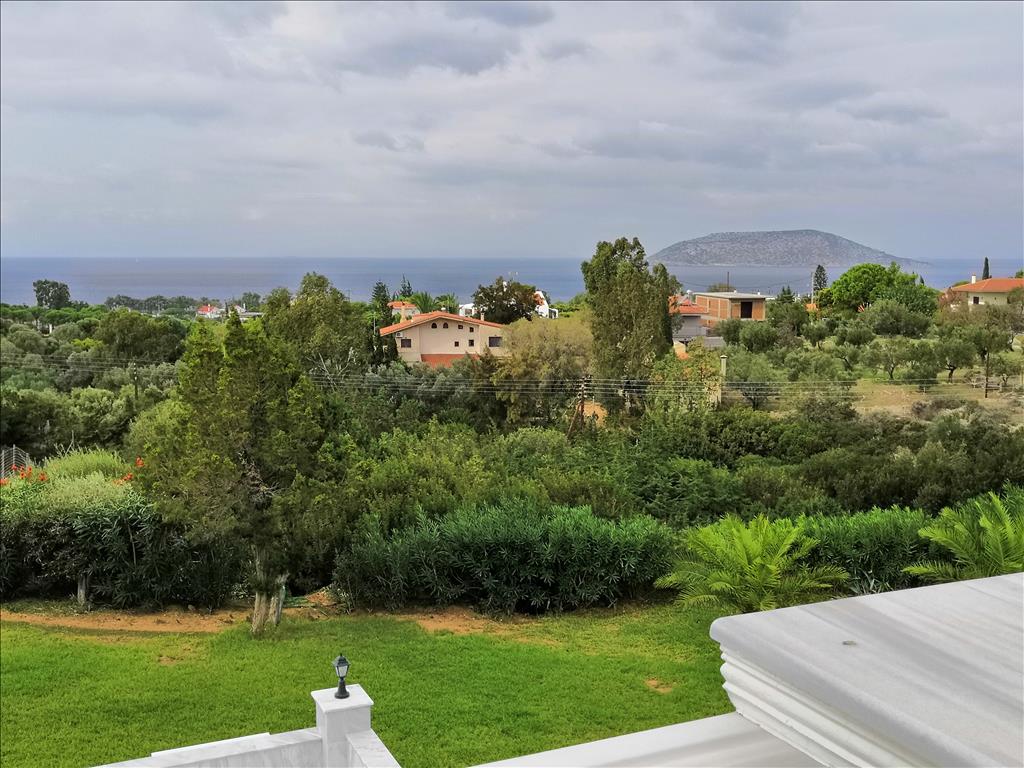 Villa in Attica, Greece, 520 m² - picture 5