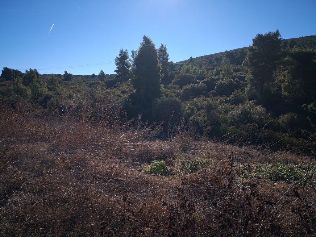 Grundstück in Sithonia, Griechenland, 12 000 m² - Foto 5