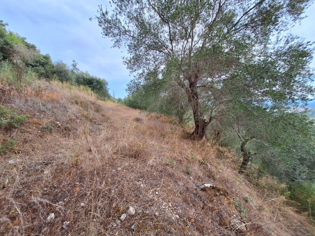 Terrain à Corfou, Grèce, 13 000 m² - image 5
