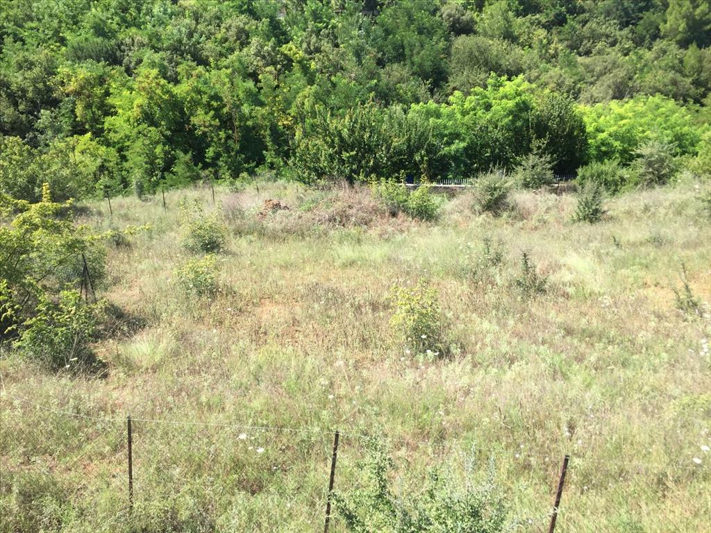 Land in Thessaloniki, Greece, 2 500 m² - picture 5