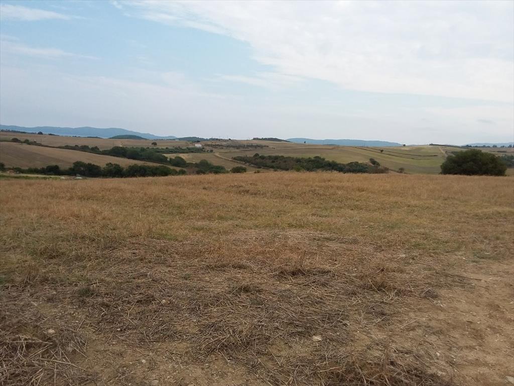 Grundstück in Chalkidiki, Griechenland, 13 000 m² - Foto 5