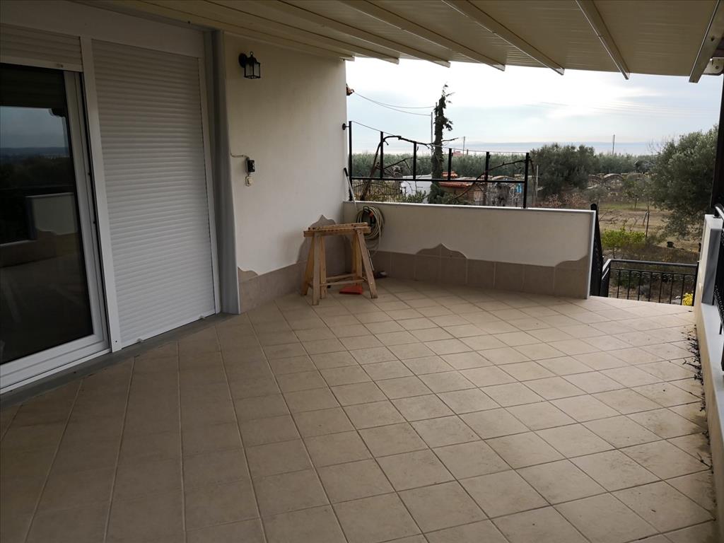 House in Sithonia, Greece, 400 m² - picture 5